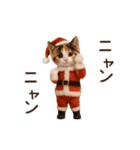 踊る♡ねこサンタクロース（個別スタンプ：7）