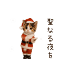 踊る♡ねこサンタクロース（個別スタンプ：10）
