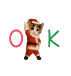 踊る♡ねこサンタクロース（個別スタンプ：11）