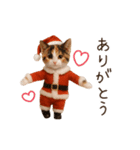 踊る♡ねこサンタクロース（個別スタンプ：12）