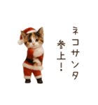 踊る♡ねこサンタクロース（個別スタンプ：13）