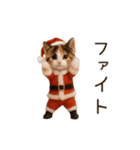 踊る♡ねこサンタクロース（個別スタンプ：19）