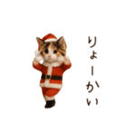 踊る♡ねこサンタクロース（個別スタンプ：20）