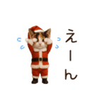 踊る♡ねこサンタクロース（個別スタンプ：21）