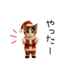 踊る♡ねこサンタクロース（個別スタンプ：23）