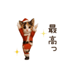 踊る♡ねこサンタクロース（個別スタンプ：24）