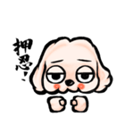 ゆるだる犬【太郎】たろ犬 7（個別スタンプ：10）