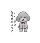 使いやすい長文のトイプードル②(敬語)（個別スタンプ：2）