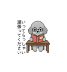 使いやすい長文のトイプードル②(敬語)（個別スタンプ：3）