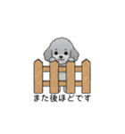 使いやすい長文のトイプードル②(敬語)（個別スタンプ：5）