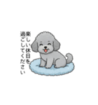 使いやすい長文のトイプードル②(敬語)（個別スタンプ：6）