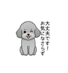 使いやすい長文のトイプードル②(敬語)（個別スタンプ：8）