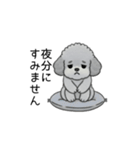 使いやすい長文のトイプードル②(敬語)（個別スタンプ：9）