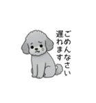 使いやすい長文のトイプードル②(敬語)（個別スタンプ：13）