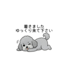 使いやすい長文のトイプードル②(敬語)（個別スタンプ：15）