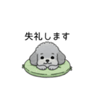 使いやすい長文のトイプードル②(敬語)（個別スタンプ：16）