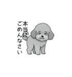 使いやすい長文のトイプードル②(敬語)（個別スタンプ：20）