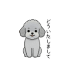 使いやすい長文のトイプードル②(敬語)（個別スタンプ：22）