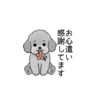 使いやすい長文のトイプードル②(敬語)（個別スタンプ：25）
