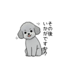 使いやすい長文のトイプードル②(敬語)（個別スタンプ：33）