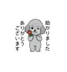 使いやすい長文のトイプードル②(敬語)（個別スタンプ：34）