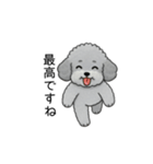 使いやすい長文のトイプードル②(敬語)（個別スタンプ：35）