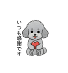 使いやすい長文のトイプードル②(敬語)（個別スタンプ：36）