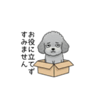使いやすい長文のトイプードル②(敬語)（個別スタンプ：37）