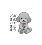 使いやすい長文のトイプードル②(敬語)（個別スタンプ：40）