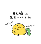 へんてこなヒヨコのまったりな冬（個別スタンプ：15）
