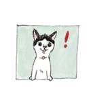 shimashima家のゆかいな仲間たち（個別スタンプ：1）