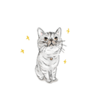 shimashima家のゆかいな仲間たち（個別スタンプ：6）