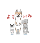 shimashima家のゆかいな仲間たち（個別スタンプ：8）