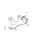 shimashima家のゆかいな仲間たち（個別スタンプ：9）