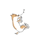 shimashima家のゆかいな仲間たち（個別スタンプ：13）