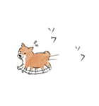 shimashima家のゆかいな仲間たち（個別スタンプ：16）