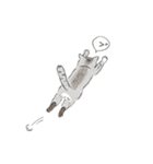 shimashima家のゆかいな仲間たち（個別スタンプ：17）