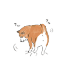 shimashima家のゆかいな仲間たち（個別スタンプ：19）