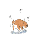 shimashima家のゆかいな仲間たち（個別スタンプ：20）