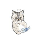 shimashima家のゆかいな仲間たち（個別スタンプ：21）