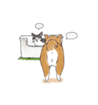 shimashima家のゆかいな仲間たち（個別スタンプ：26）