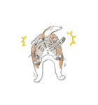 shimashima家のゆかいな仲間たち（個別スタンプ：29）