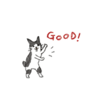 shimashima家のゆかいな仲間たち（個別スタンプ：31）