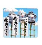 デカ動く 3D三匹の擦れねこ 年末年始2026（個別スタンプ：5）