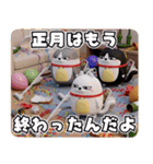 デカ動く 3D三匹の擦れねこ 年末年始2026（個別スタンプ：10）