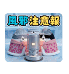 デカ動く 3D三匹の擦れねこ 年末年始2026（個別スタンプ：22）