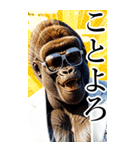 サングラスしたゴリラの正月【BIG】再販（個別スタンプ：3）