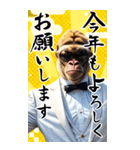 サングラスしたゴリラの正月【BIG】再販（個別スタンプ：6）