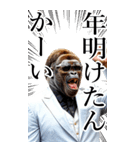 サングラスしたゴリラの正月【BIG】再販（個別スタンプ：10）