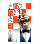 サングラスしたゴリラの正月【BIG】再販（個別スタンプ：22）